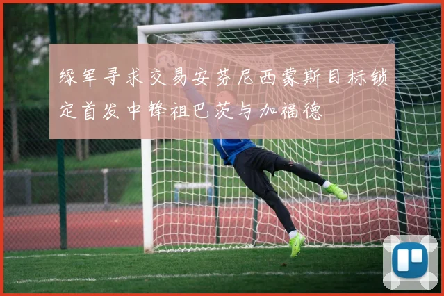 绿军寻求交易安芬尼西蒙斯目标锁定首发中锋祖巴茨与加福德