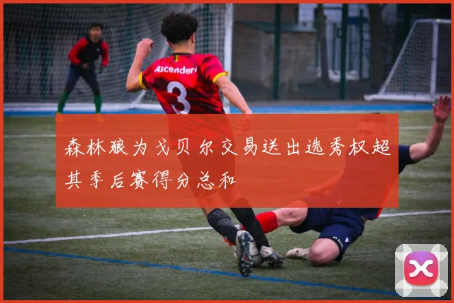 森林狼为戈贝尔交易送出选秀权超其季后赛得分总和